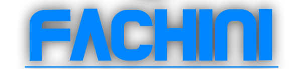 Fachini Informática